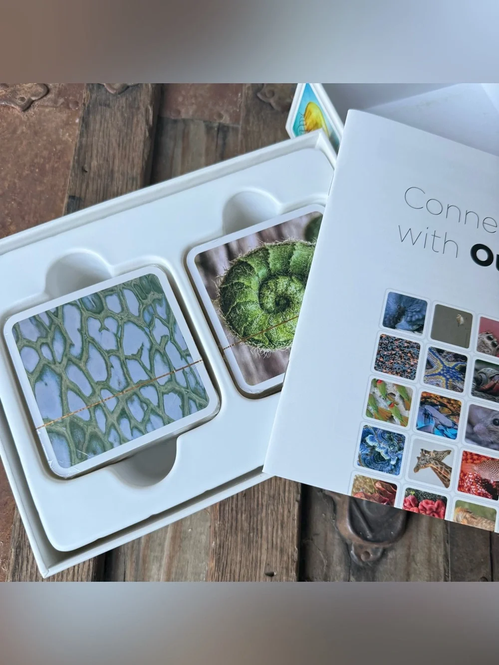 Ouisi Nature Games and Activities
